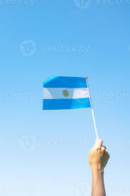 BANDERA MILENIO 2251 PLASTICA C/PALO 15x21 x12 U.