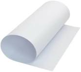 PAPEL CARTULINA CAPITOLIO BLANCA -300- x20unid