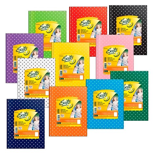 Cuaderno Exito  19x24 forrado T/D 48 hjs