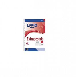 Imagen ilustrativa de FOLIOS LIGGO EXTRAPESADO 70 MIC A4 x10 U.