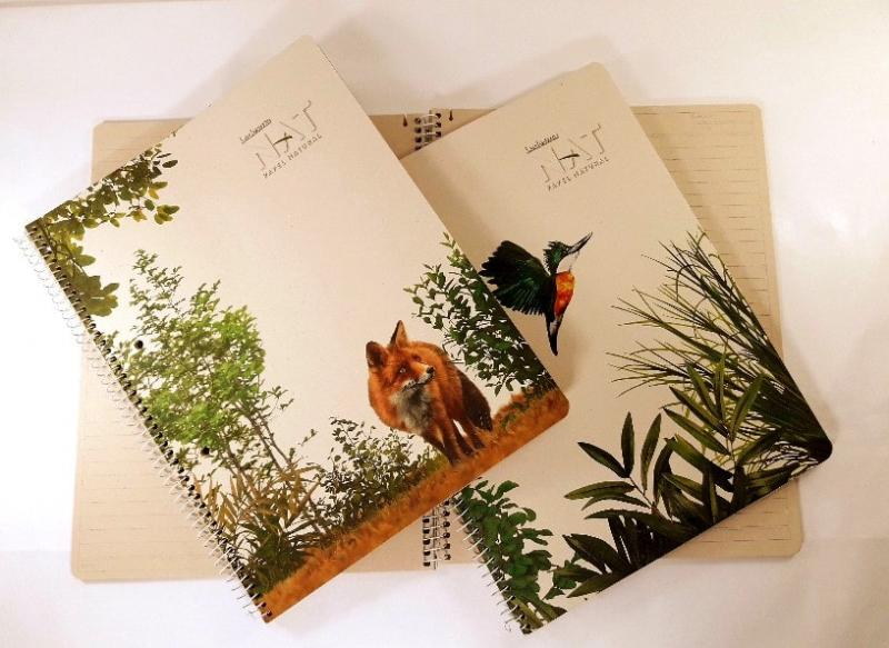 Imagen ilustrativa de CUADERNO LEDESMA NAT 22x29 ESP x70 = T/F