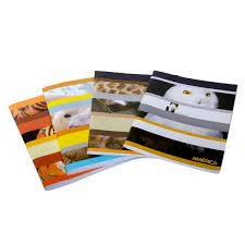 Cuaderno T/F America x 48 hjs Rayado